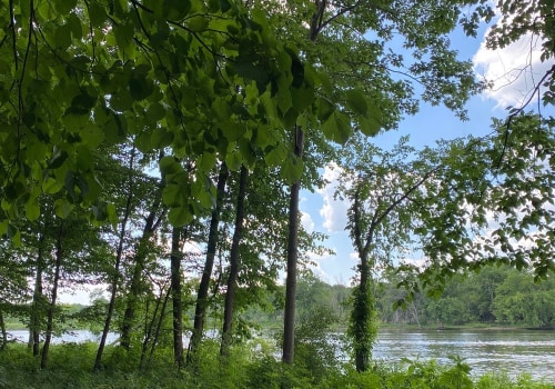 Exploring the Best Facilities for Walking and Hiking in Crystal Lake, Illinois